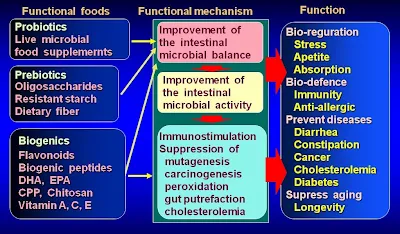 Vai trò của probiotic troong chăn nuôi.