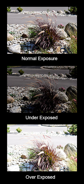 Exposure Examples