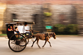 Vigan Transportation