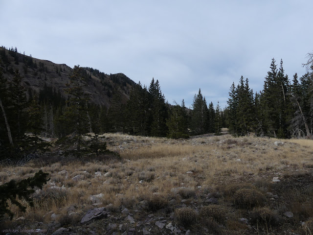 073: rocks with lots of dirt and plants