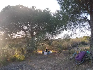 2 big pine trees, sleeping stuff, bicycles.