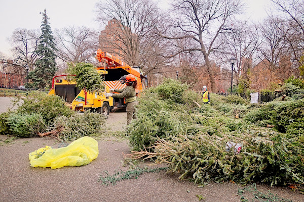 NYC Mulchfest 2024