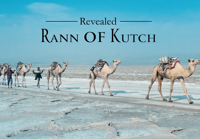 Rann of Kutch