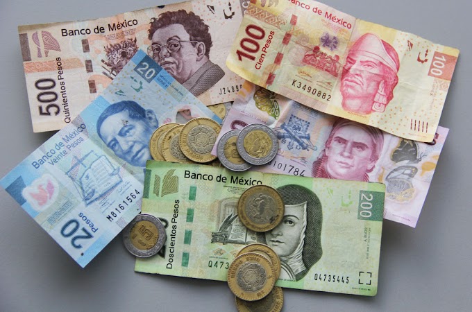 Salario mínimo en México viola los DDHH; Conasami es la responsable: informe