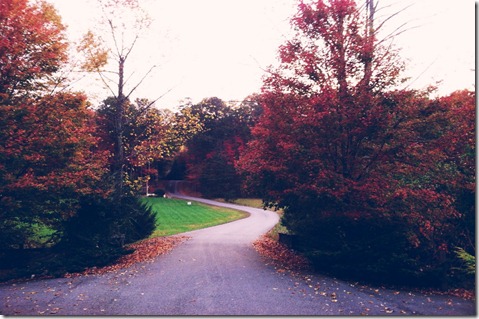 vscocam95