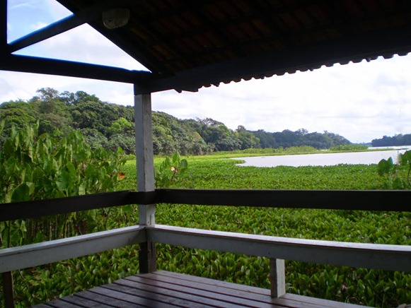 Parque Estadual do Utinga , Belém do Parà, foto: Odilson Sà