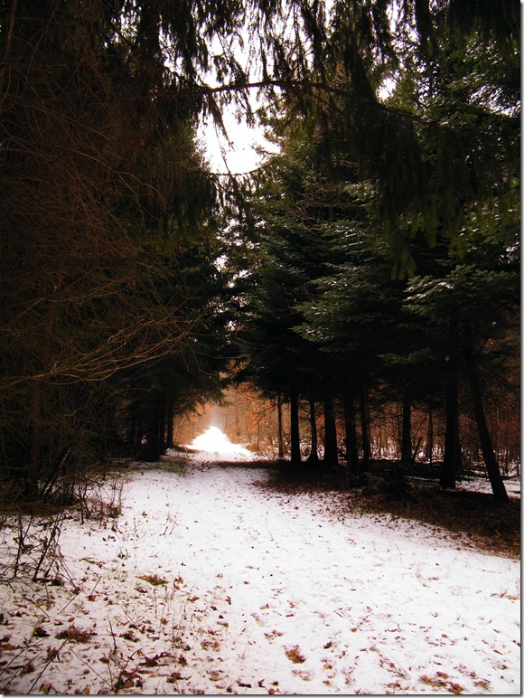 Germany_2_0124
