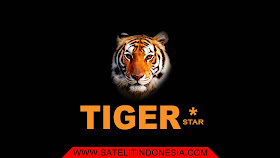 Tiger Star M1+ Software Download New Update