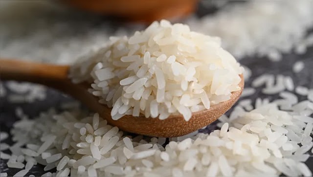 Governo Lula zera tarifa de importação de arroz até dezembro | Brazil News Informa