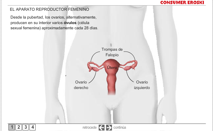 http://www.consumer.es/web/es/salud/atencion_sanitaria/2009/01/25/182936.php