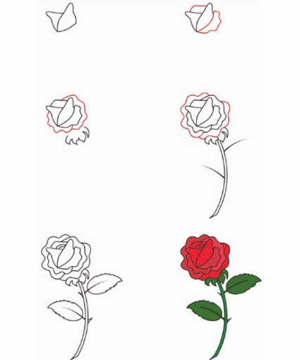 Learn to Draw a Rose