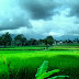 Sawah Hijau Biru - Karanganyar