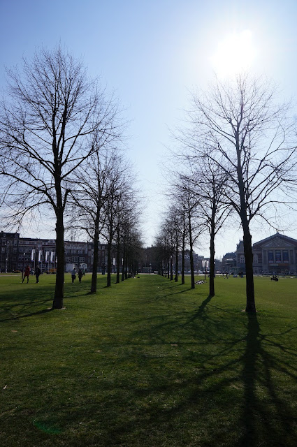 Amsterdam winter ghost trees naked trees park Spring springtime green grass sunny sunshine