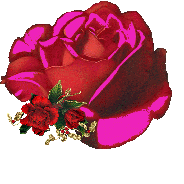 roses rose ROSES annimated animated images of roses. roses rose ROSES annimated