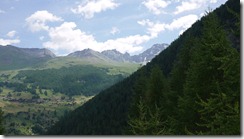 P1010906