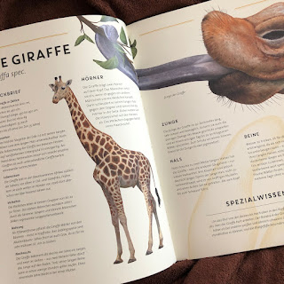 Kindersachbuch LEBENSGROSS - Wilde Tiere Afrikas