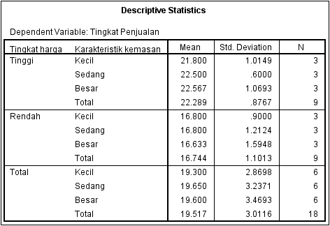 Output Descriptive Statistics SPSS