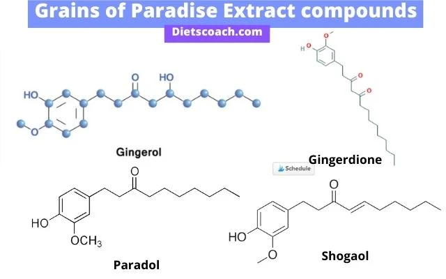 Grains of Paradise compounds