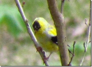 IMG_1830 (2)