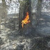 Incendian finca senador del PLD en Santiago Rodríguez