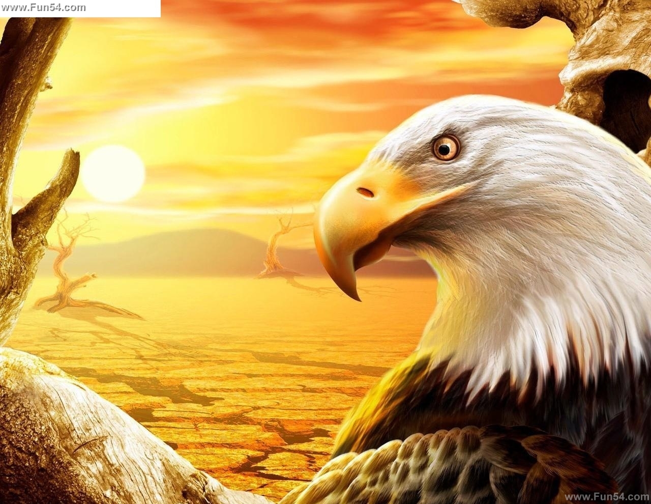 Eagle Owl Hd Wallpaper Windows 8 Widescreen Wallpapers HD Wallpaper ...