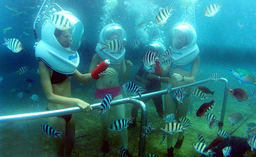 Bali Sea Walker di tanjung Benoa 