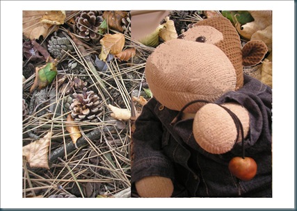 monkey and conkers
