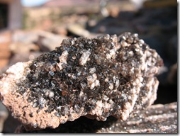 2012-04-15 Petrified Wood, Fry Canyon, UT (99)