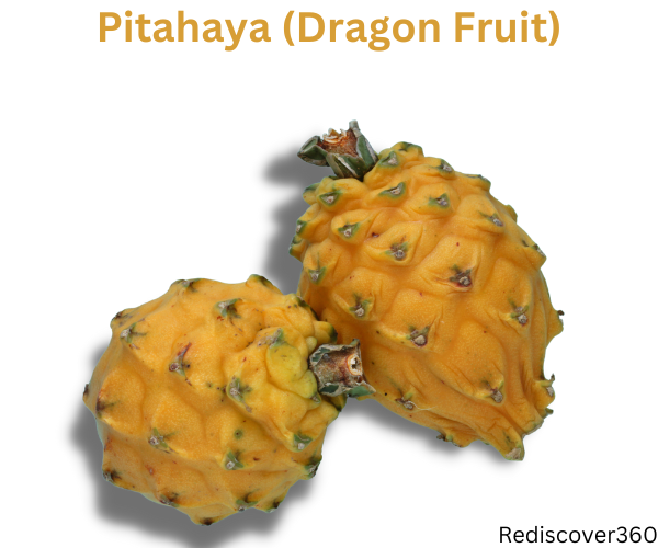 Pitahaya