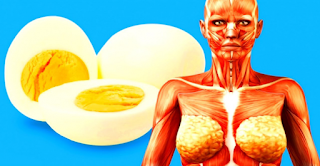 Eating One Egg A Day Protects Your Heart