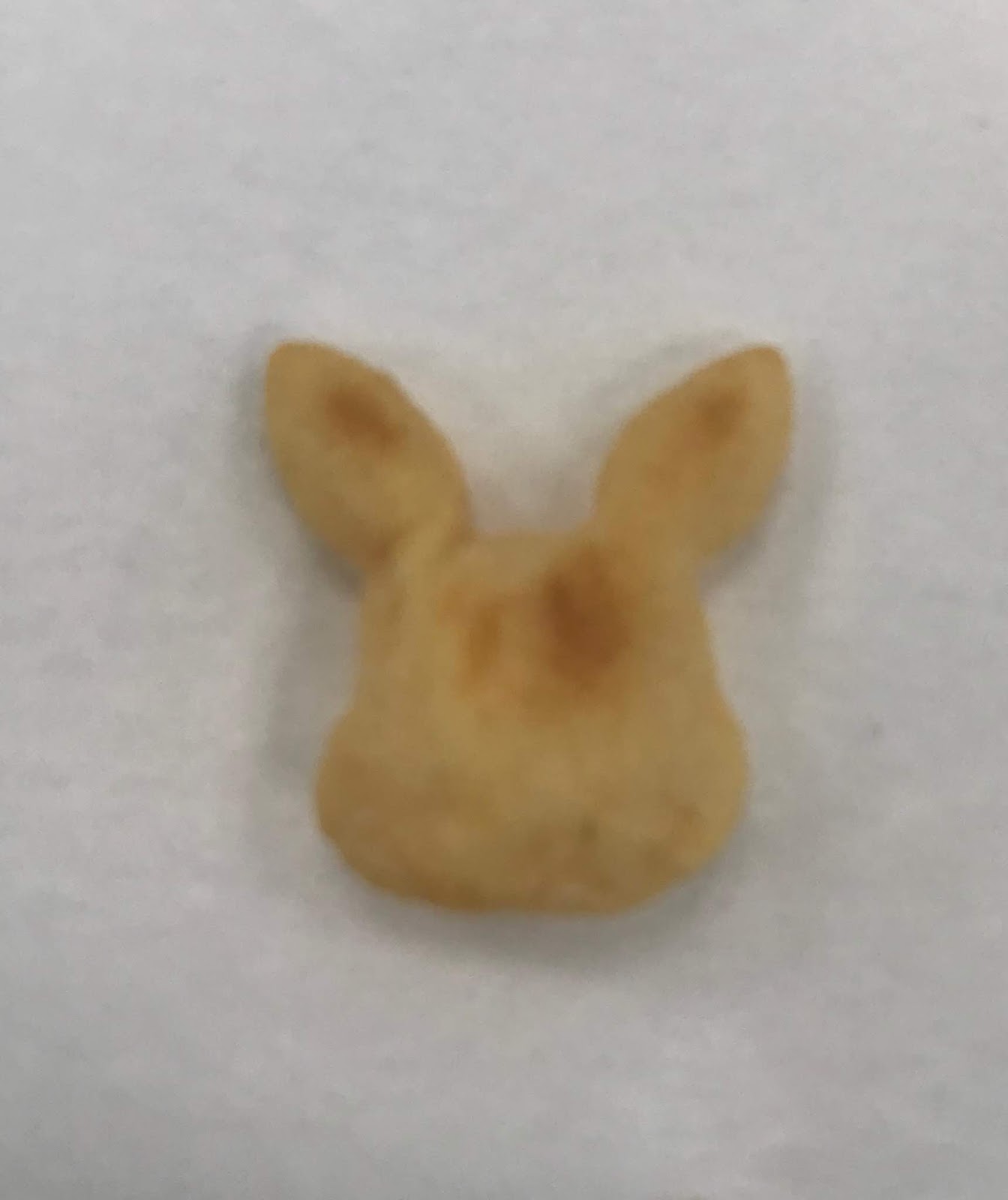 任天堂 おっとっと ポケモン のシークレット これなんだか分かる ネタバレ 40歳ぐらいの雑談系日記