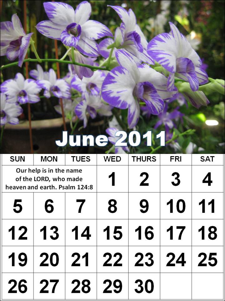 may calendar 2011 singapore. Calendar+2011+may+june+