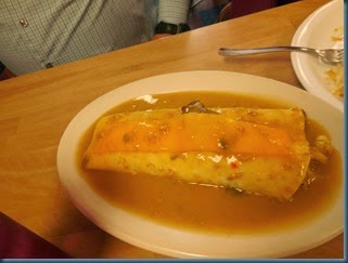 DSCN3380