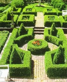 Boxwood Garden Pathways