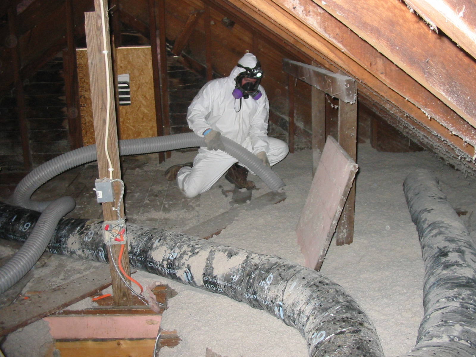asbestos removal Geelong
