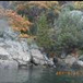 Vis album