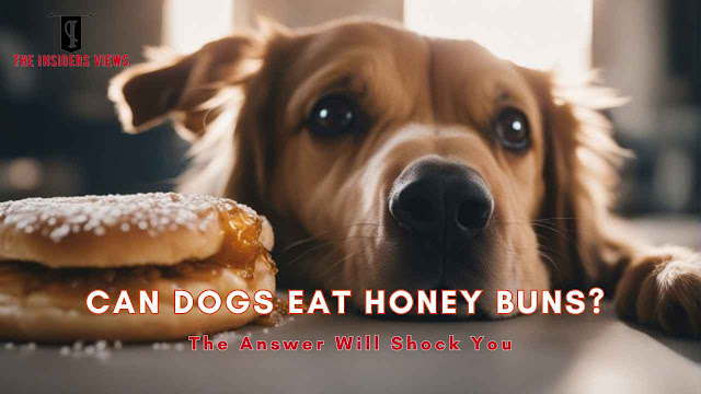 Can Dogs Eat Honey Buns? The Answer Will Shock You