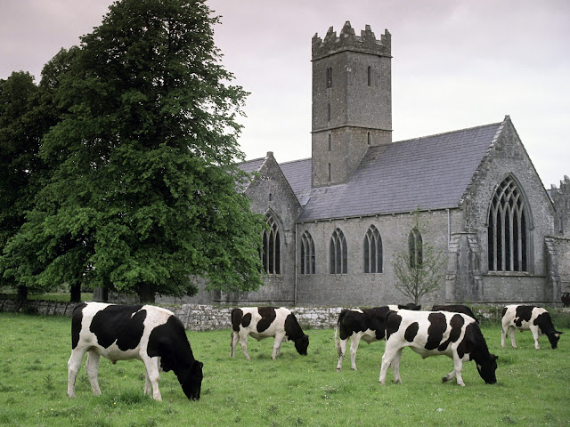 Naturaleza y Paisajes de Irlanda