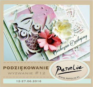 http://papeliapl.blogspot.com/2016/06/wyzwanie-12-podziekowanie.html