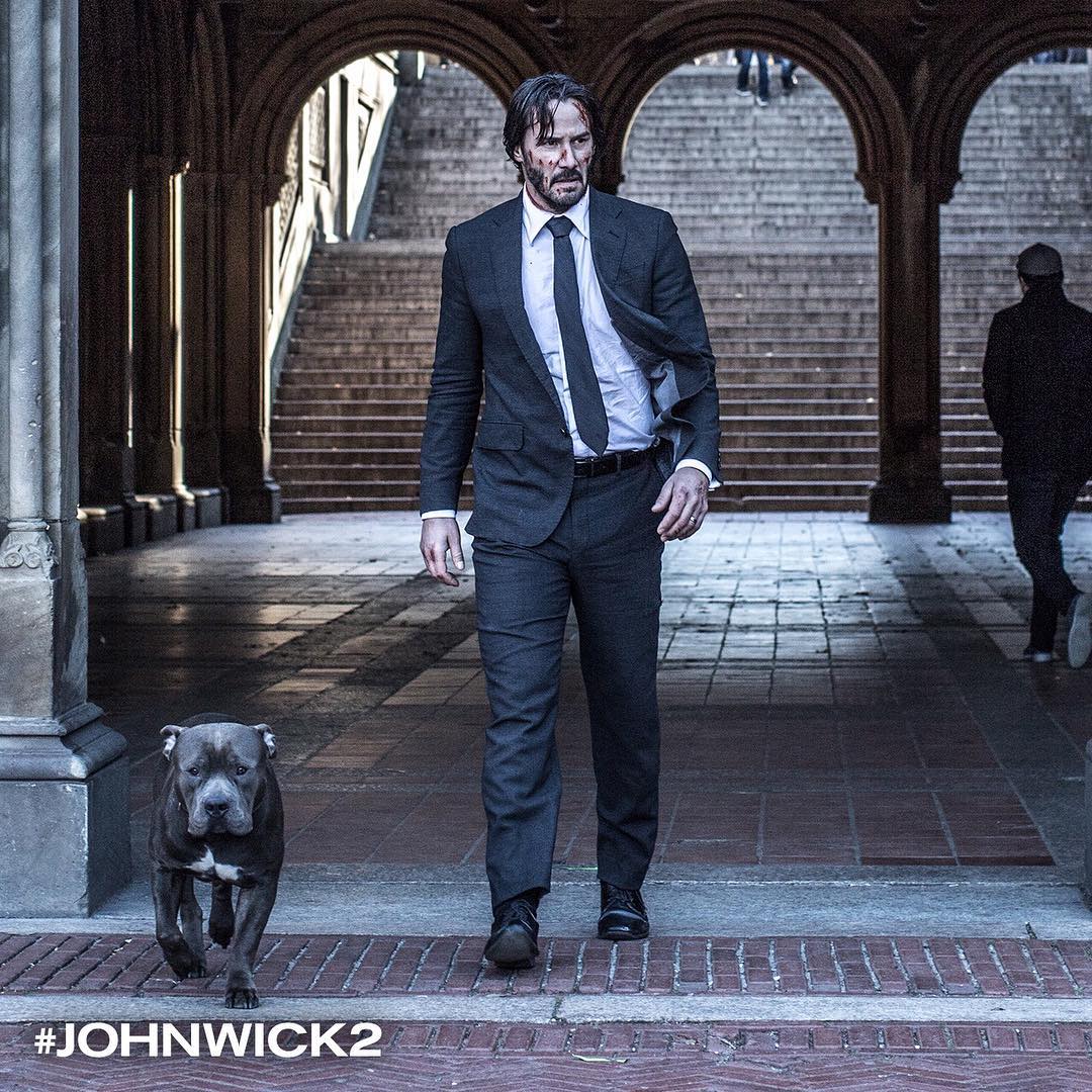 Foto Foto John Wick Terbaik Dan Terbaru Keren Banget AwCyber