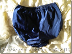 carntion full panty  navy back