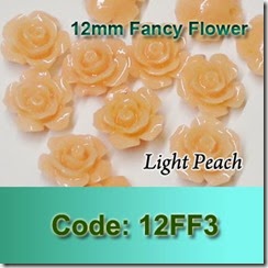 12FF3 copy