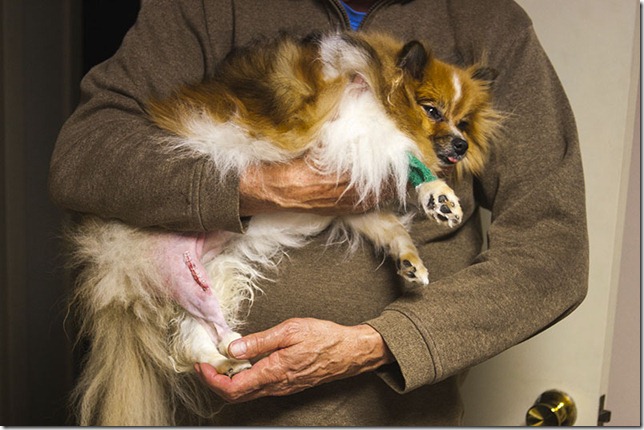 Mikki Surgery_0013--FB