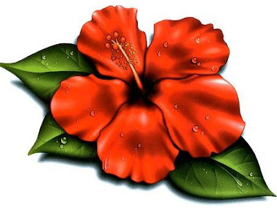 Let's look at some flower options for your tattoo. Hibiscus Flower
