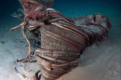 19 Penemuan di bawah Air Laut yang Menakjubkan, Luar Biasa