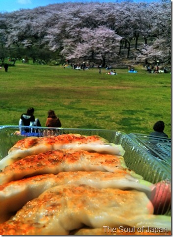 gyoza