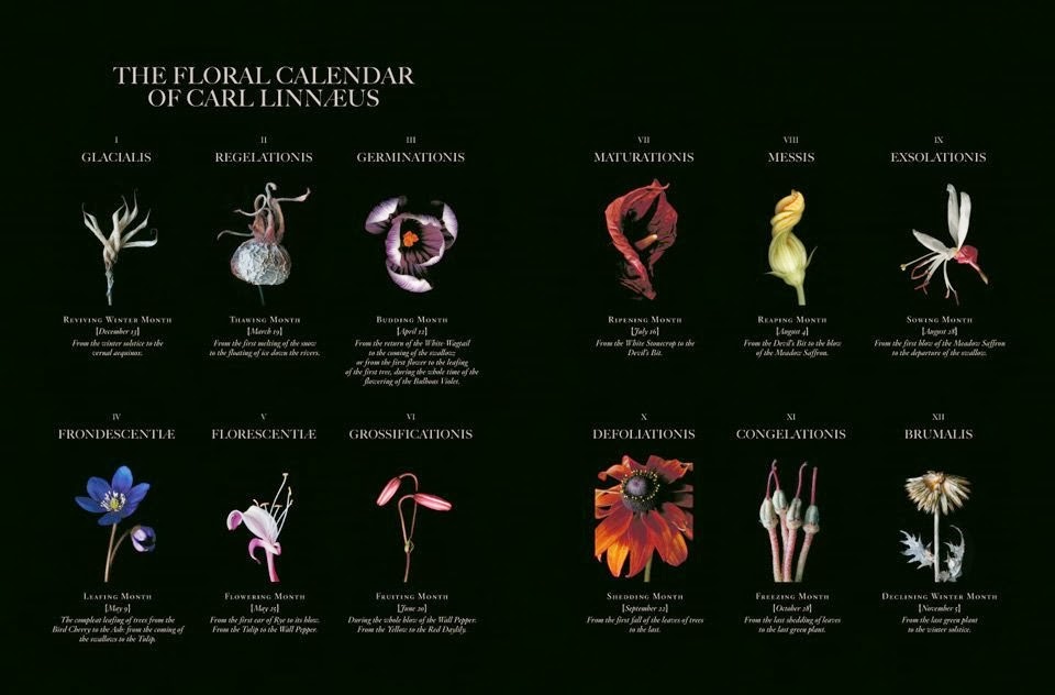 Calendário Floral de Carlos Lineu