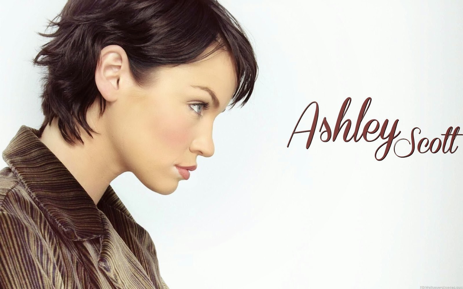 Ashley Scott Hyper Star Hd Wallpapers