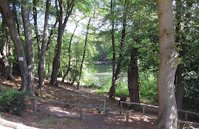 Keston top pond seen from the Westerham Road car park.  14 May 2011.