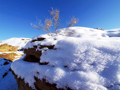 Snow In Desert